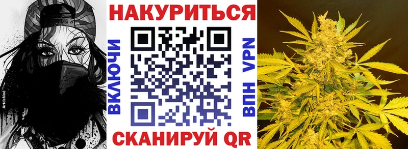 ГАШ Новое Девяткино